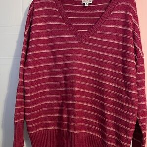 Wonderly Women's V-Neck Sweater - Pink and White Stripes
